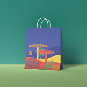 كيس اليوم الوطني ksa6